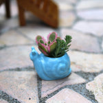 Miniature Snail Pot, Blue