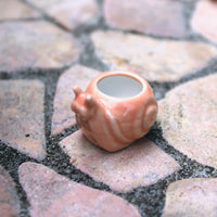Miniature Snail Pot, Coral