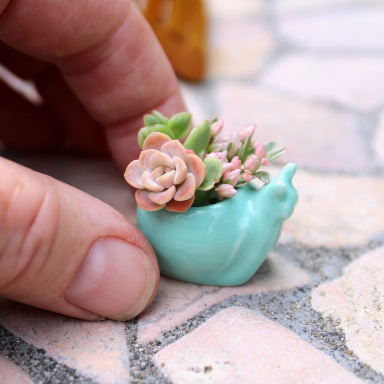 Miniature Snail Pot, Teal