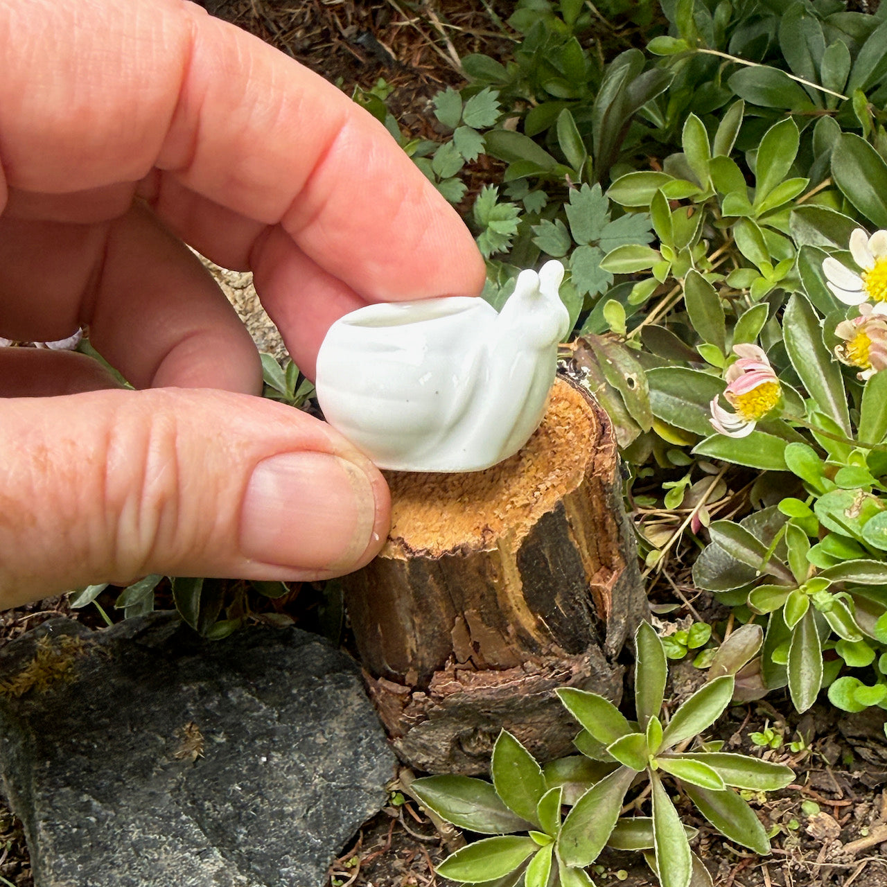 Miniature Snail Pot, White