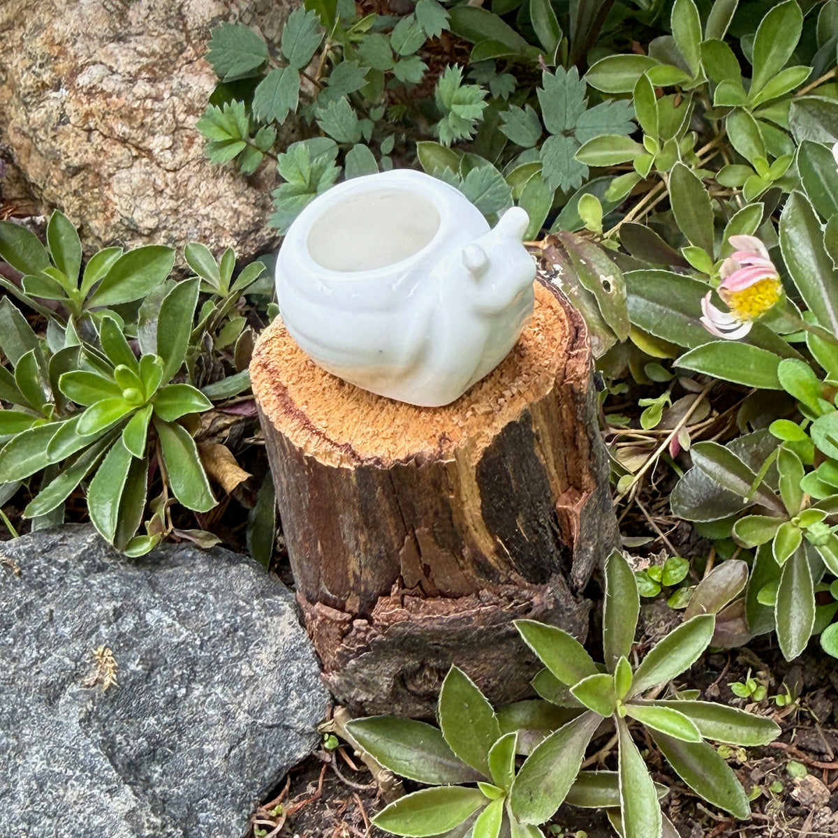 Miniature Snail Pot, White