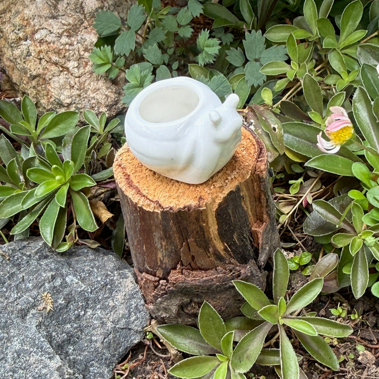 Miniature Snail Pot, White