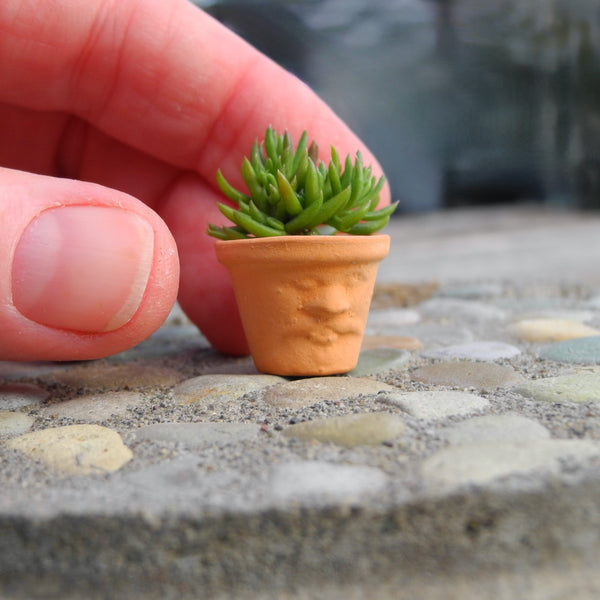 Miniature Face Pot with 3 Cuttings