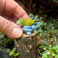 Miniature Turtle Pot - Blue