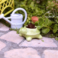 Miniature Turtle Pot - Green