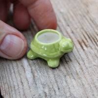 Miniature Turtle Pot - Green