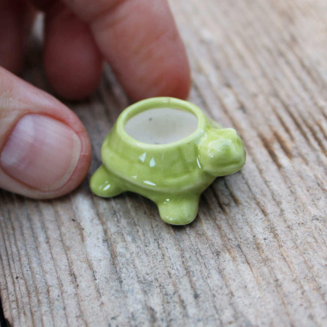Miniature Turtle Pot - Green