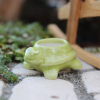 Miniature Turtle Pot - Green