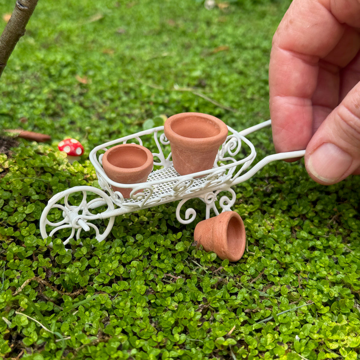 Mini Wheelbarrow & 3-Pot Set