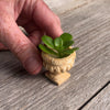 Mini Round Urn, Tan, Staked