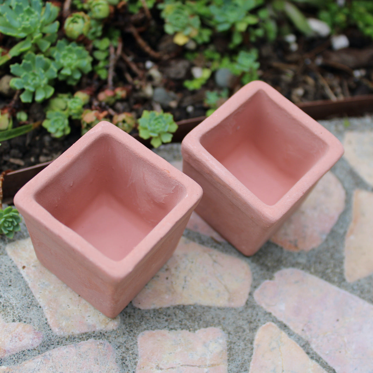 Terra Cotta Square Planter Set of 2