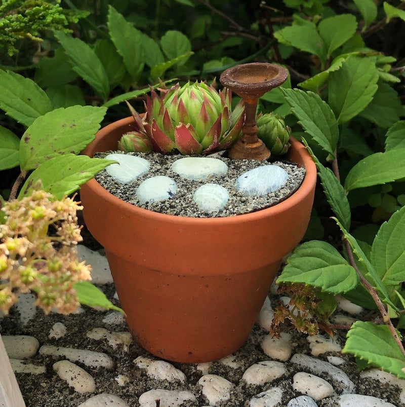 Terra Cotta Pots (WP) Set of 3, Medium