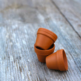 Terra Cotta Pots (WP) Set of 3, Tiny