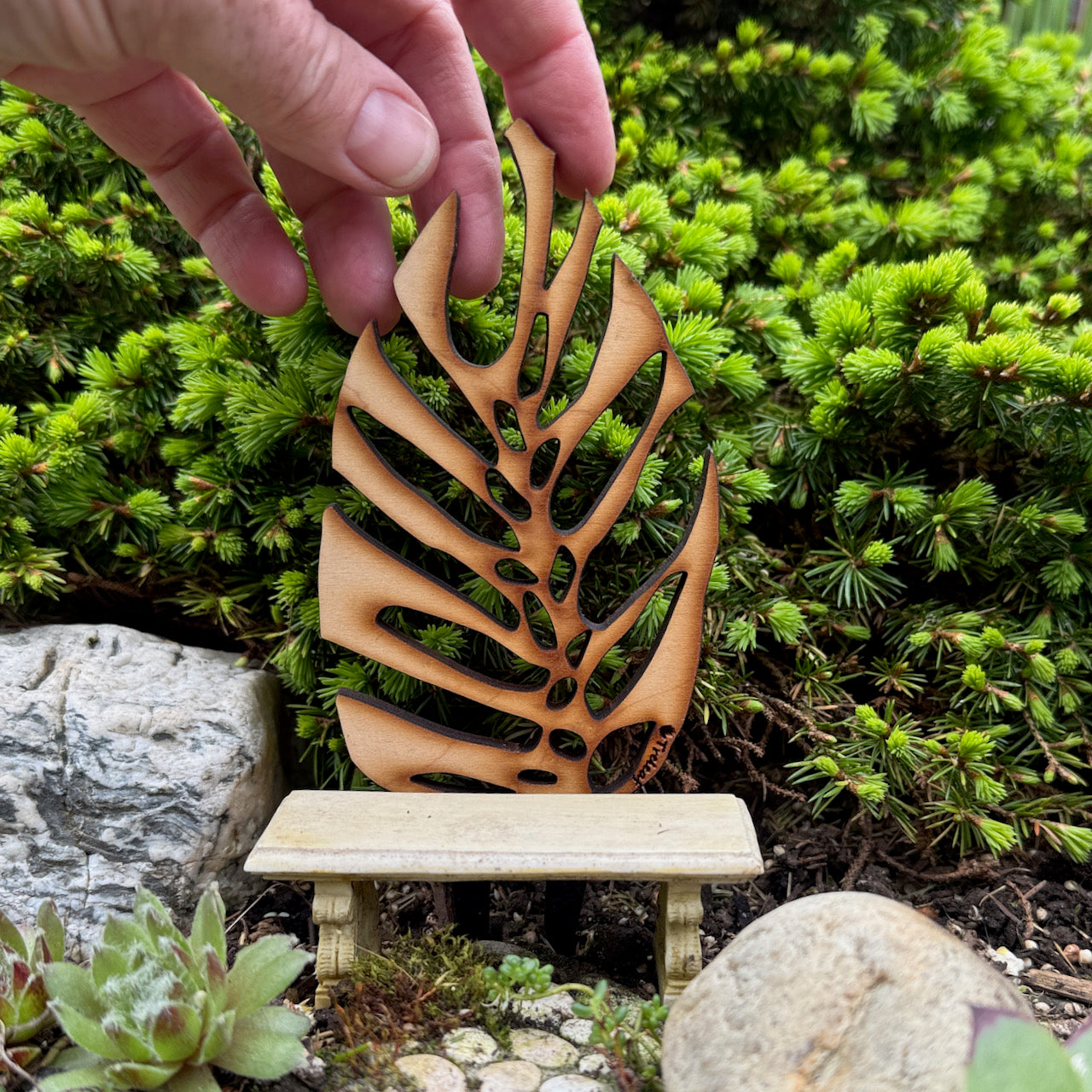 Miniature Monstera Trellis