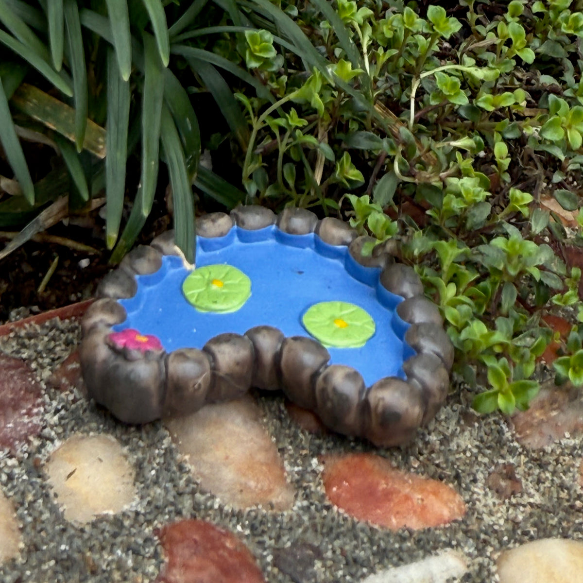 Tiny Lily Pad Pond, Lagoon Shape