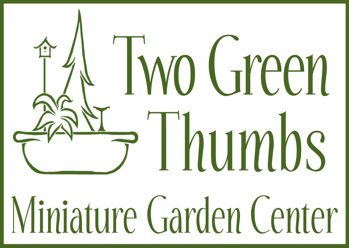 Two Green Thumbs Miniature Garden Center