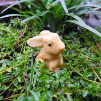 Brown Rabbit, Staked, Assorted Styles