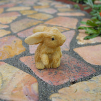 Brown Rabbit, Staked, Assorted Styles