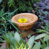Ancient Urn Birdbath