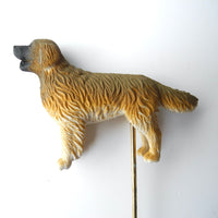 Miniature Dogs - Trained & Staked