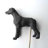 Miniature Dogs - Trained & Staked
