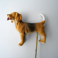 Miniature Dogs - Trained & Staked