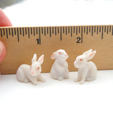 White Bunny Rabbit, Staked, Assorted Styles
