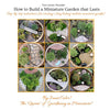 How to Build a Long-Lasting Miniature Garden in a Pot, Instant Download