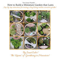 How to Build a Long-Lasting Miniature Garden in a Pot, Instant Download