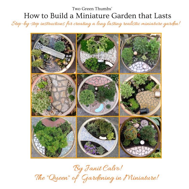 How to Build a Long-Lasting Miniature Garden in a Pot, Instant Download