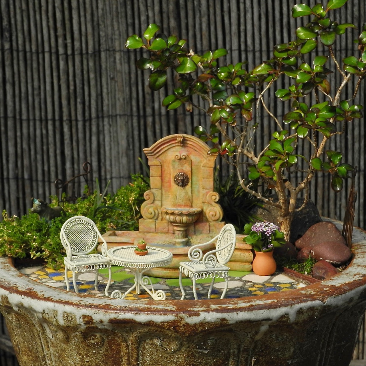 Miniature Garden Starter Kits - Getting Started Essentials – Two