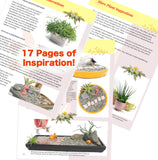 Simple Creative Ways to Grow Awesome Little Dish Gardens, 1.0 - PDF eBook