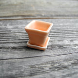 Mini Ceramic Pot and Saucer Set, Peach