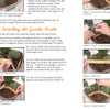 How to Build a Long-Lasting Miniature Garden in a Pot, Instant Download
