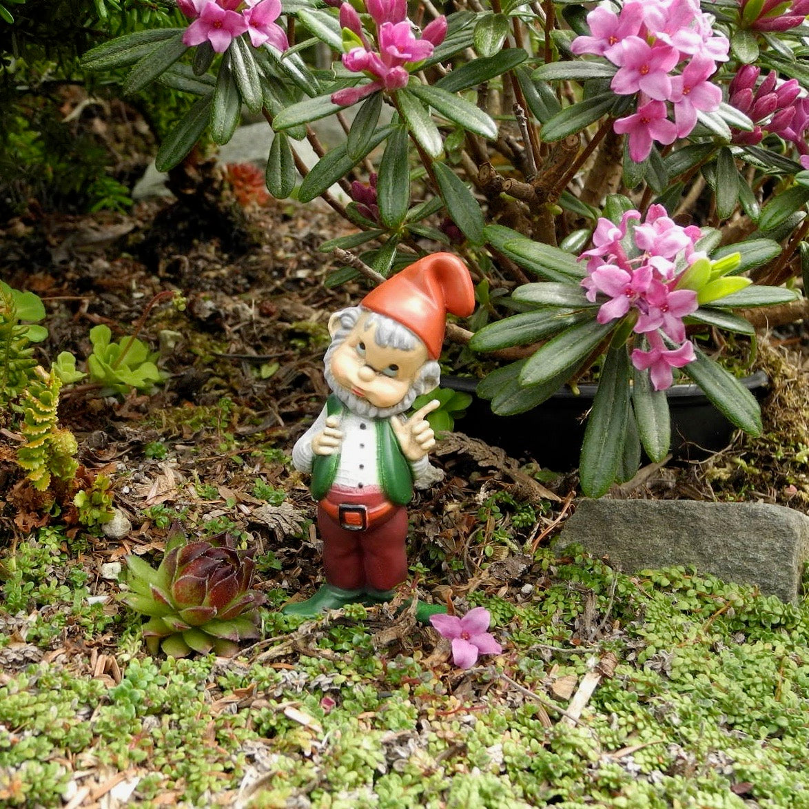 Miniature Garden Gnome - The All Knowing Gnome