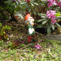 Miniature Garden Gnome - The All Knowing Gnome