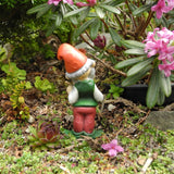 Miniature Garden Gnome - The All Knowing Gnome