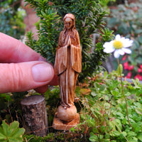 Lady of the Universe, Faux Wood, Staked