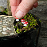 Tiny Miniature Magic Mushrooms, Staked! Set of 3