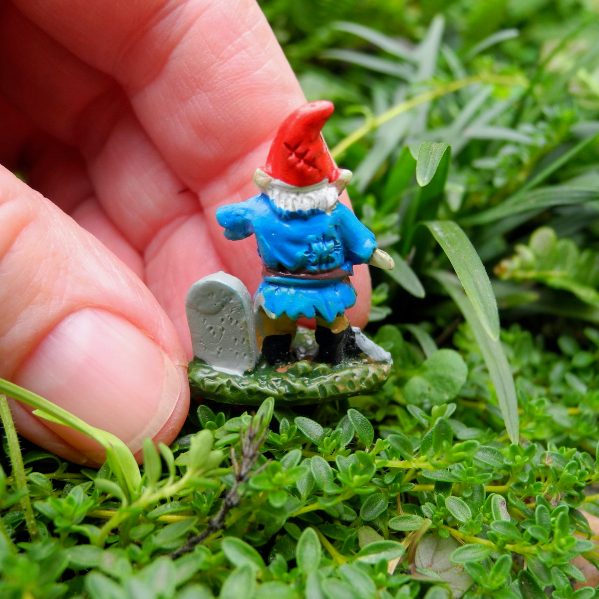 Tiny Zombie Gnome