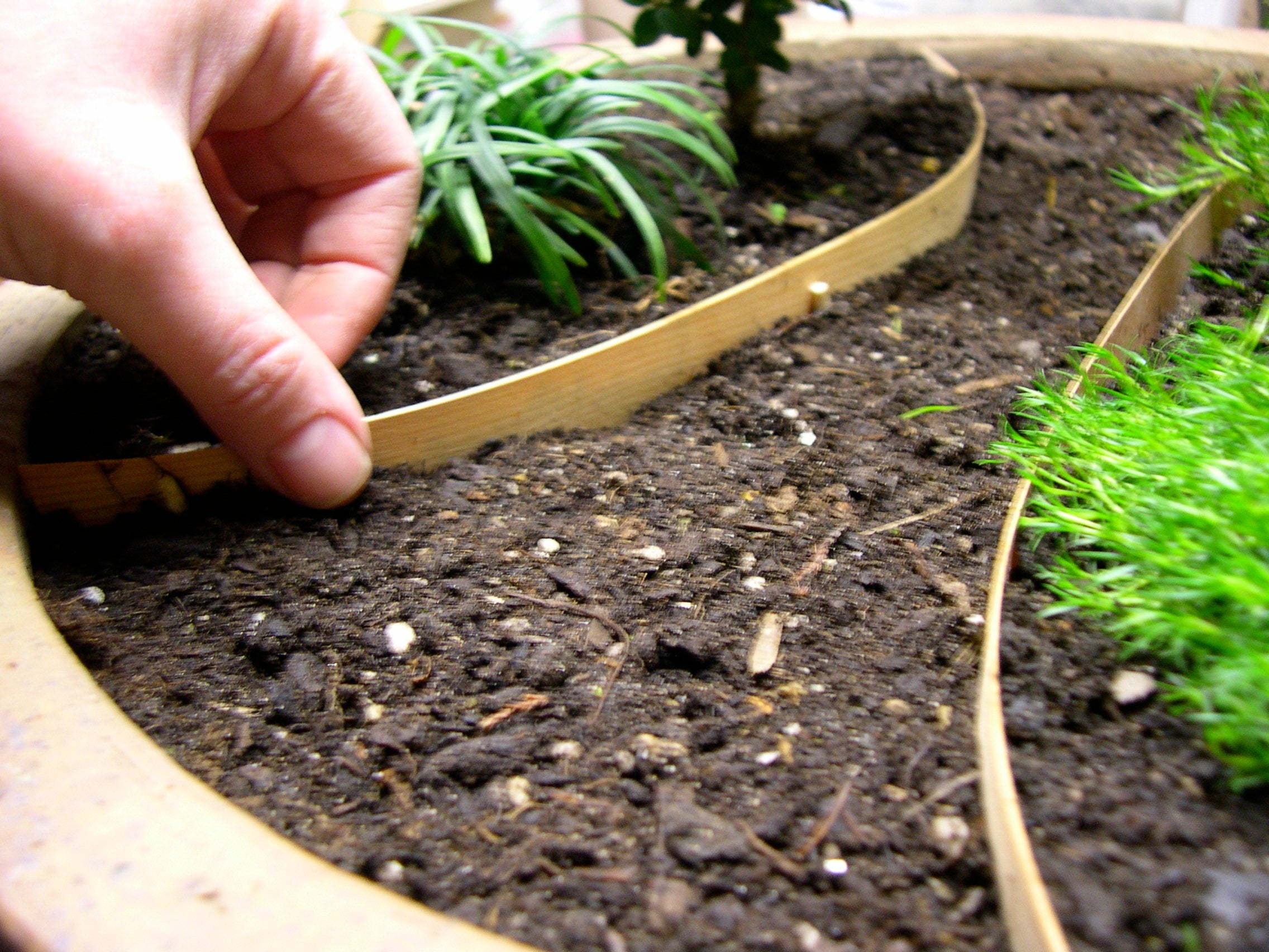 Miniature Garden Supply: Border, 10ft