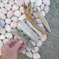 Make a Real Fairy Garden Pond Kit