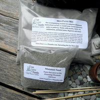 DIY Indoor/Outdoor Miniature Garden Kit PLUS Ebooks