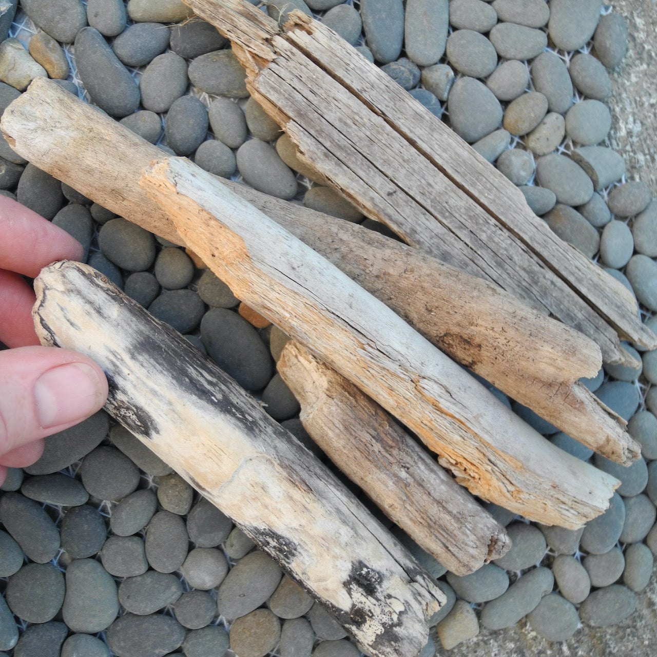 Miniature Garden Lakeside Hideaway Kit – Two Green Thumbs