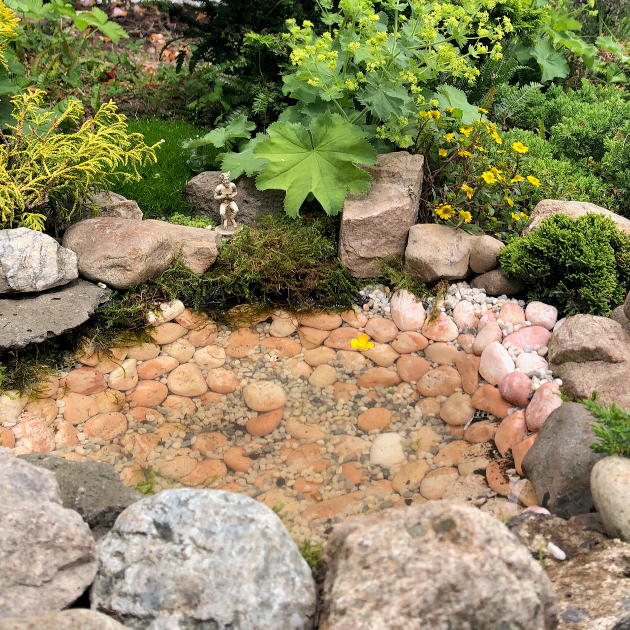 Miniature Garden Kits or DIY Fairy Gardening, Craft Your Own World – Two  Green Thumbs Miniature Garden Center
