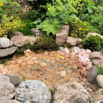 Make a Real Fairy Garden Pond Kit