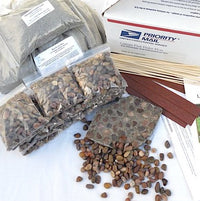 Cobblestone Patio Kit, Shipping Included