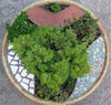 Mini Patio Mix Kit, Medium Bulk Pack + Ebook & Shipping!