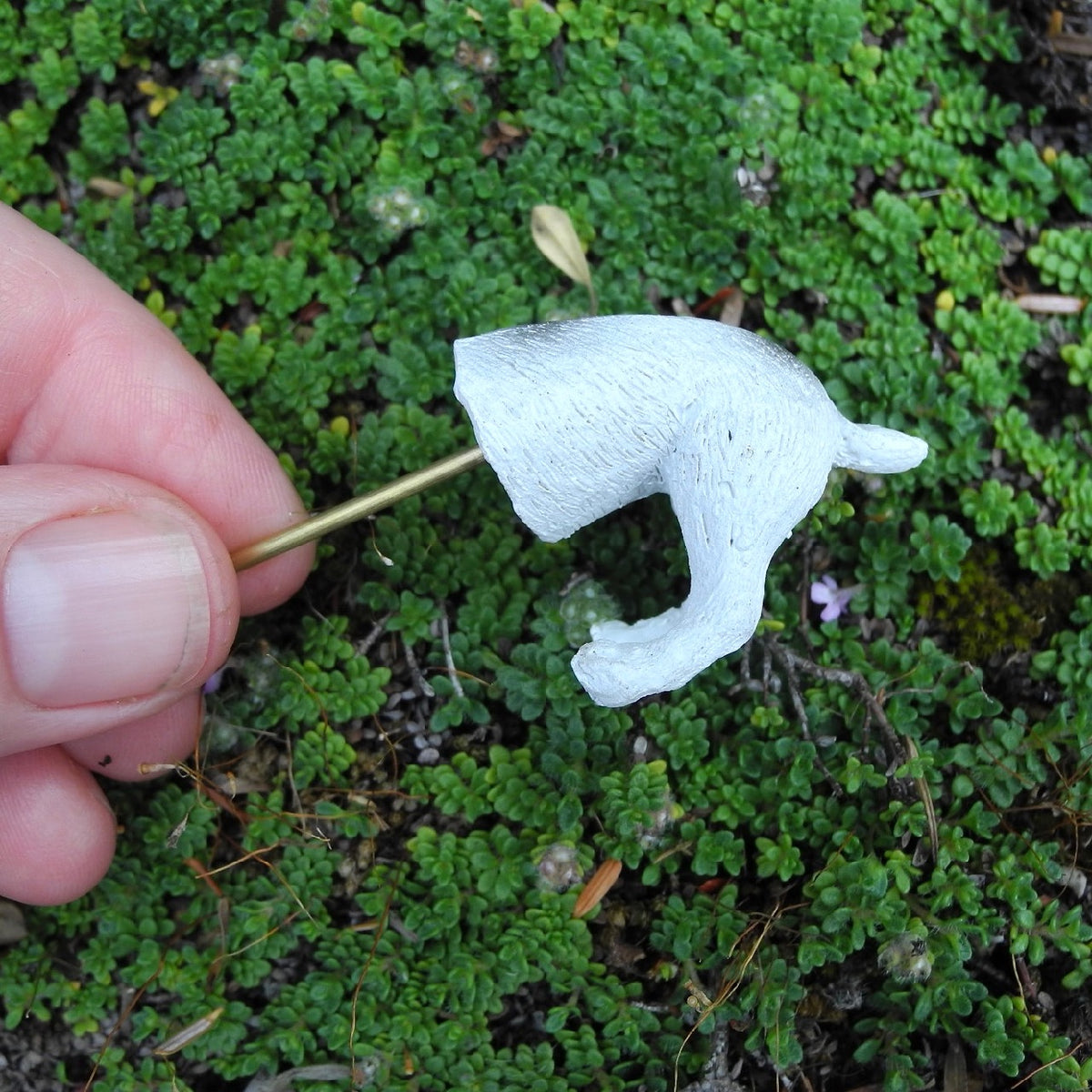 Daisy the Digging Dog, Kinda Trained