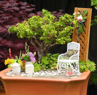 Customized for YOU! A Miniature Garden Kit, sBook & Shipping Included!